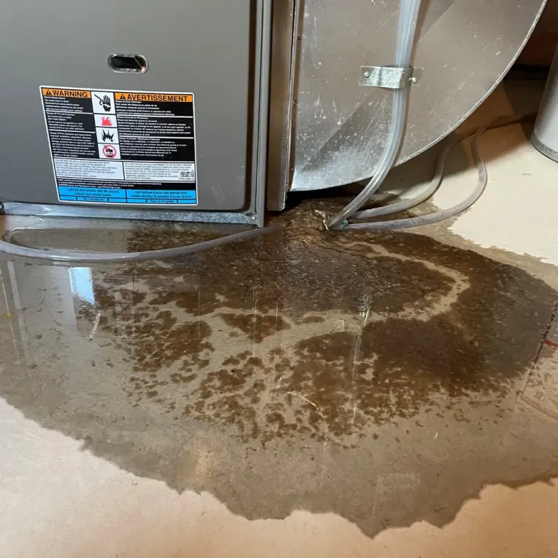Appliance Leak Cleanup in Oceano, CA