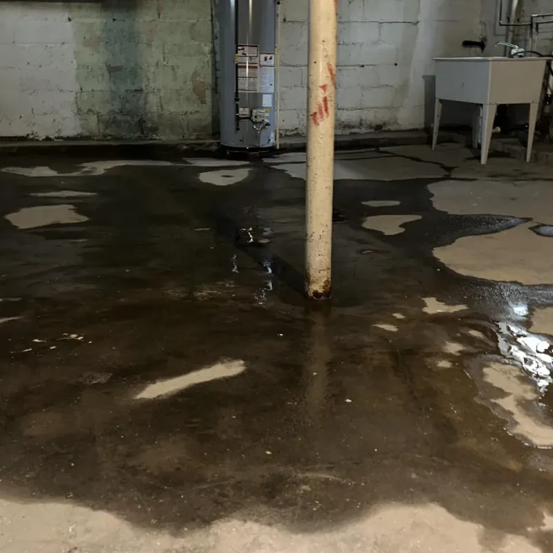 Emergency Water Extraction And Removal in Oceano, CA